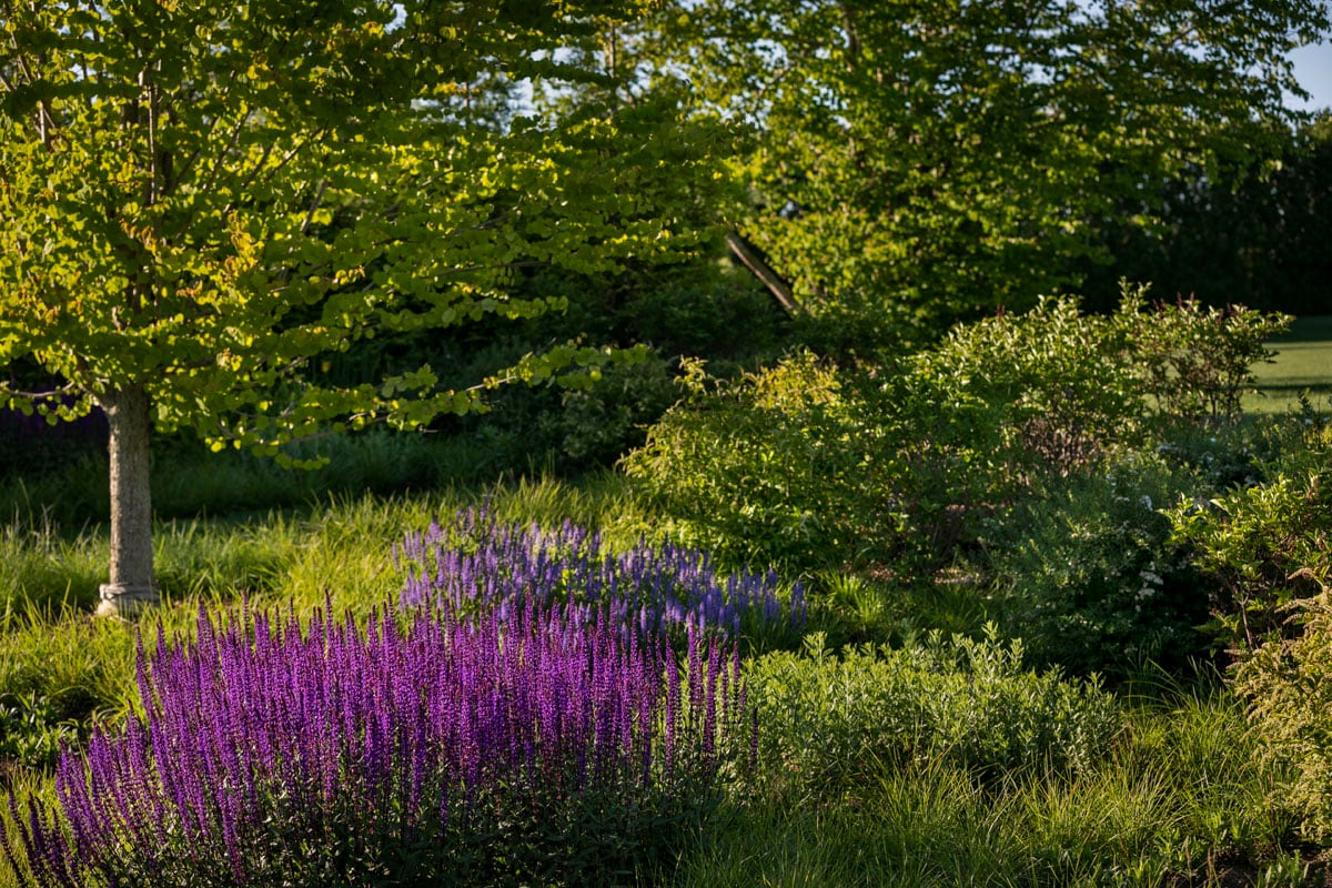 Smart water management