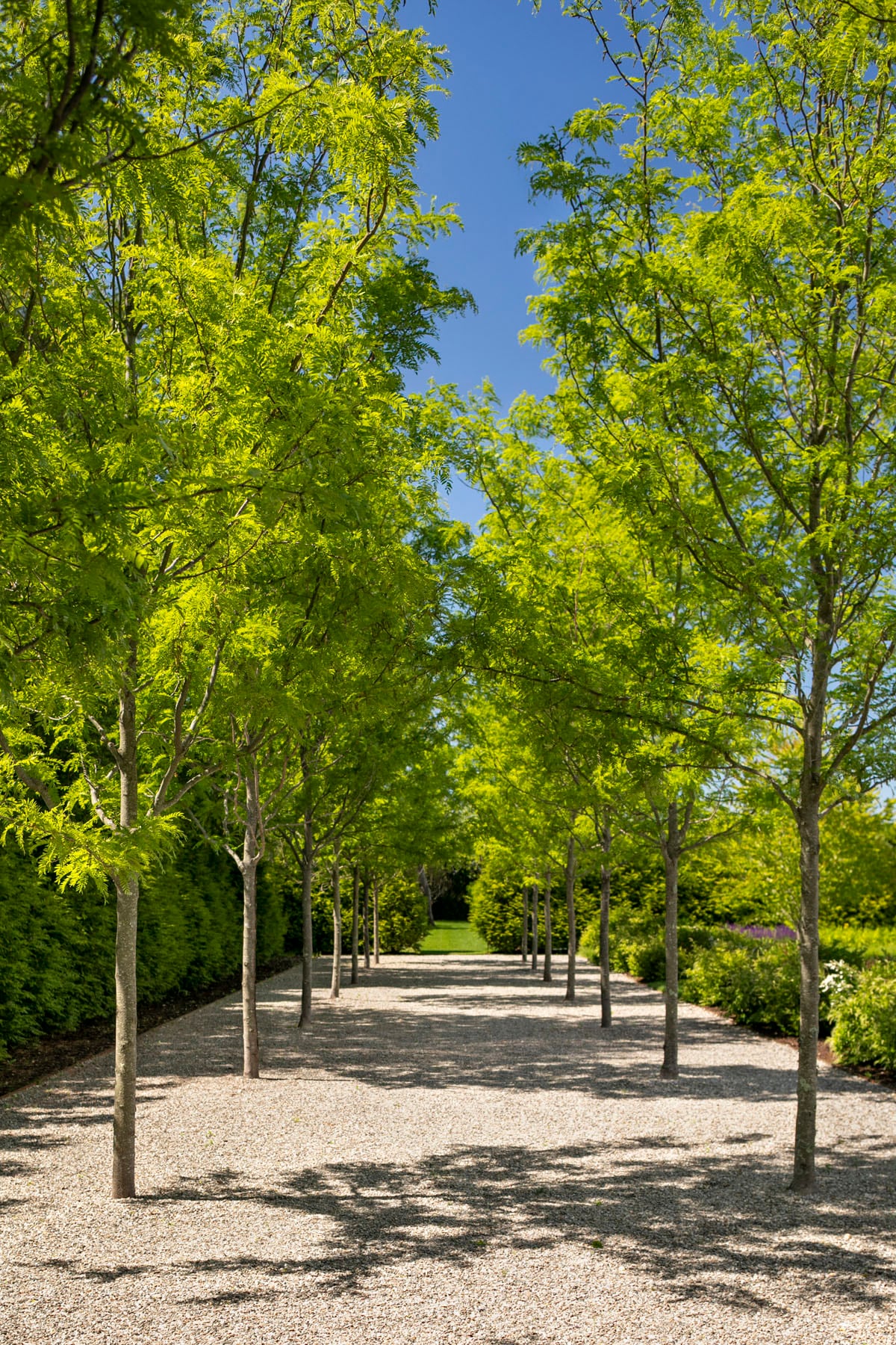 Hamptons landscape portfolio — LDG_2019_Fox_018, Hamptons landscape by Peconic Lawn & Tree Care