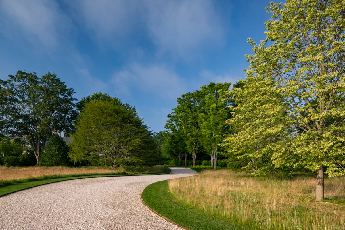 Hamptons landscape portfolio — LDG_2021_Schwartz_drive_016, Hamptons landscape by Peconic Lawn & Tree Care