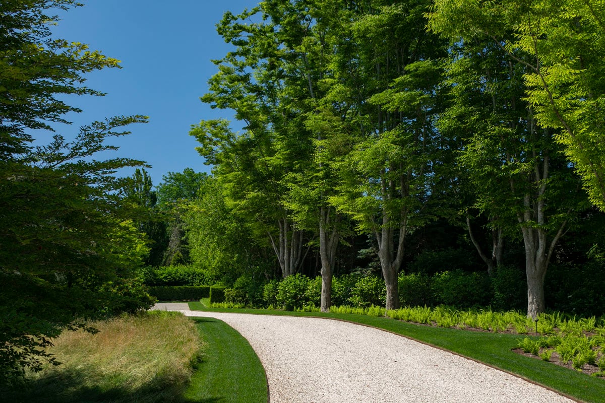 Hamptons landscape portfolio — LDG_2021_Schwartz_drive_030, Hamptons landscape by Peconic Lawn & Tree Care