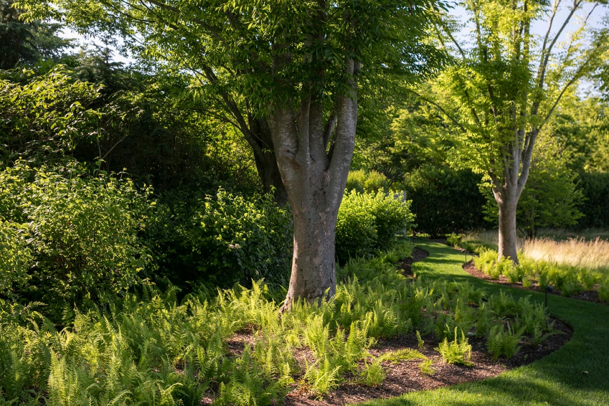 Hamptons landscape portfolio — LDG_2021_Schwartz_drive_048, Hamptons landscape by Peconic Lawn & Tree Care