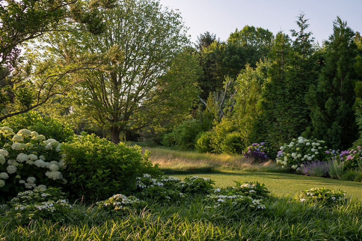 Hamptons landscape portfolio — LDG_2021_Schwartz_house_002, Hamptons landscape by Peconic Lawn & Tree Care