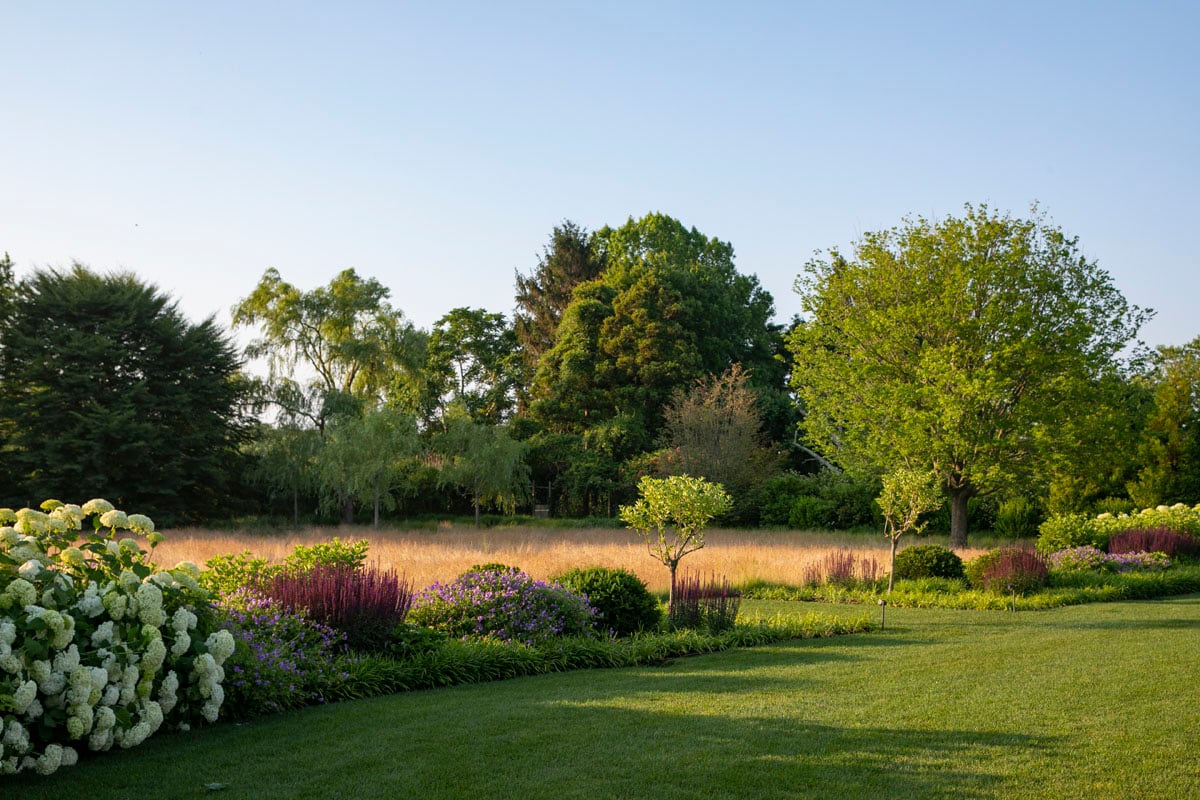 Hamptons landscape portfolio — LDG_2021_Schwartz_house_004, Hamptons landscape by Peconic Lawn & Tree Care