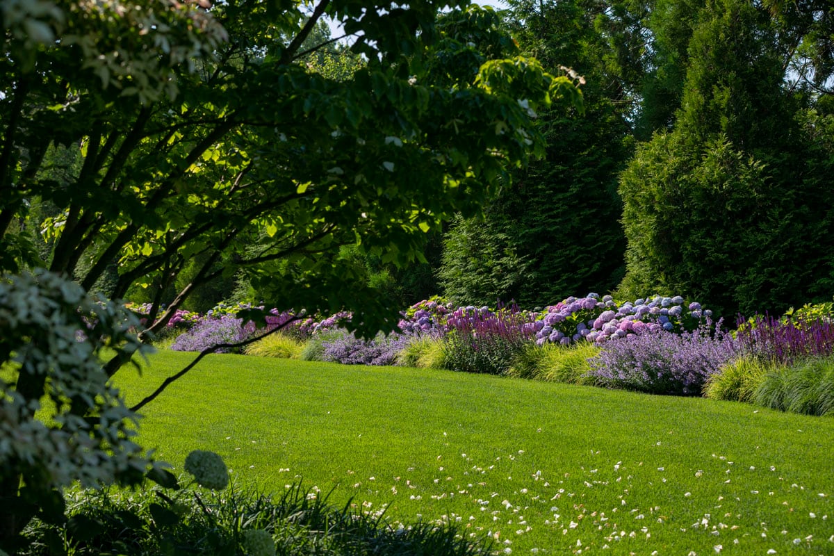 Hamptons landscape portfolio — LDG_2021_Schwartz_house_008, Hamptons landscape by Peconic Lawn & Tree Care