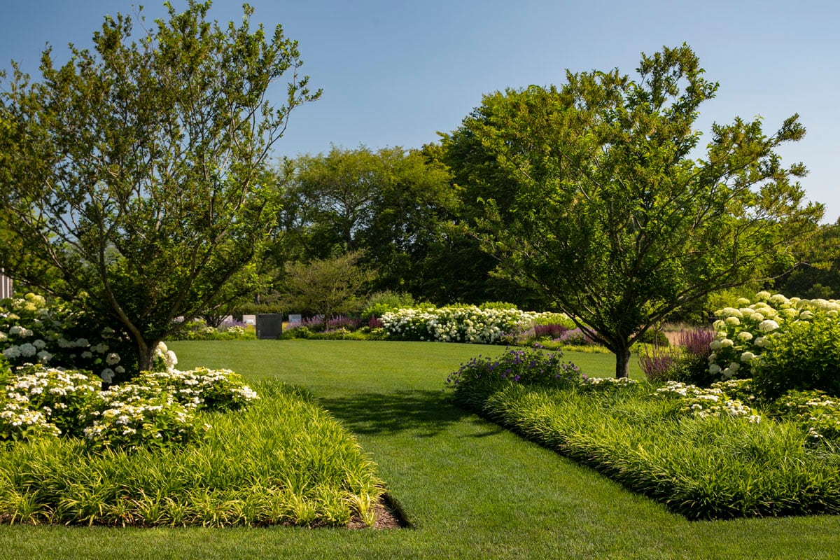 Hamptons landscape portfolio — LDG_2021_Schwartz_house_018, Hamptons landscape by Peconic Lawn & Tree Care
