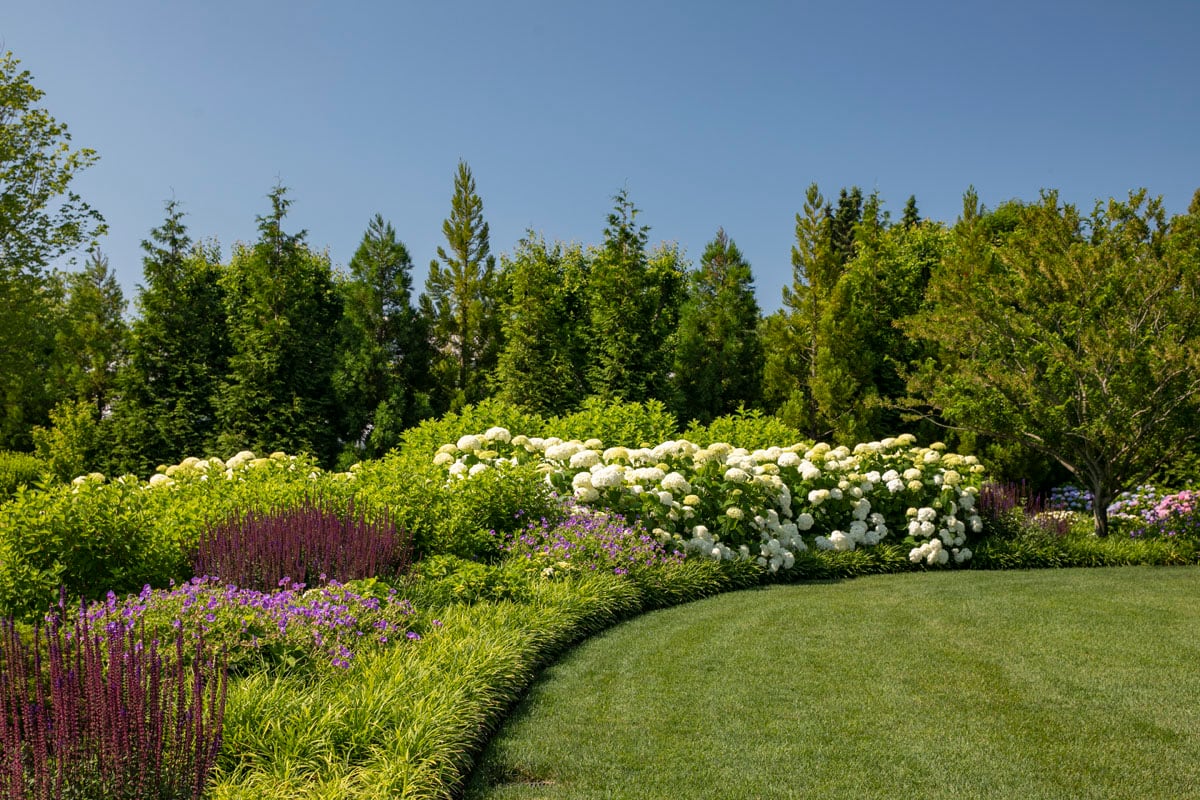 Hamptons landscape portfolio — LDG_2021_Schwartz_house_023, Hamptons landscape by Peconic Lawn & Tree Care