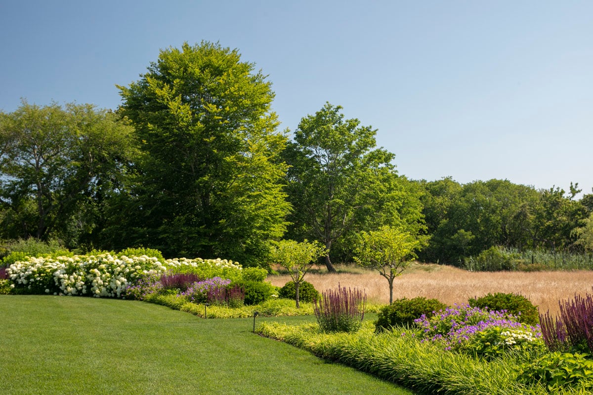 Hamptons landscape portfolio — LDG_2021_Schwartz_house_024, Hamptons landscape by Peconic Lawn & Tree Care