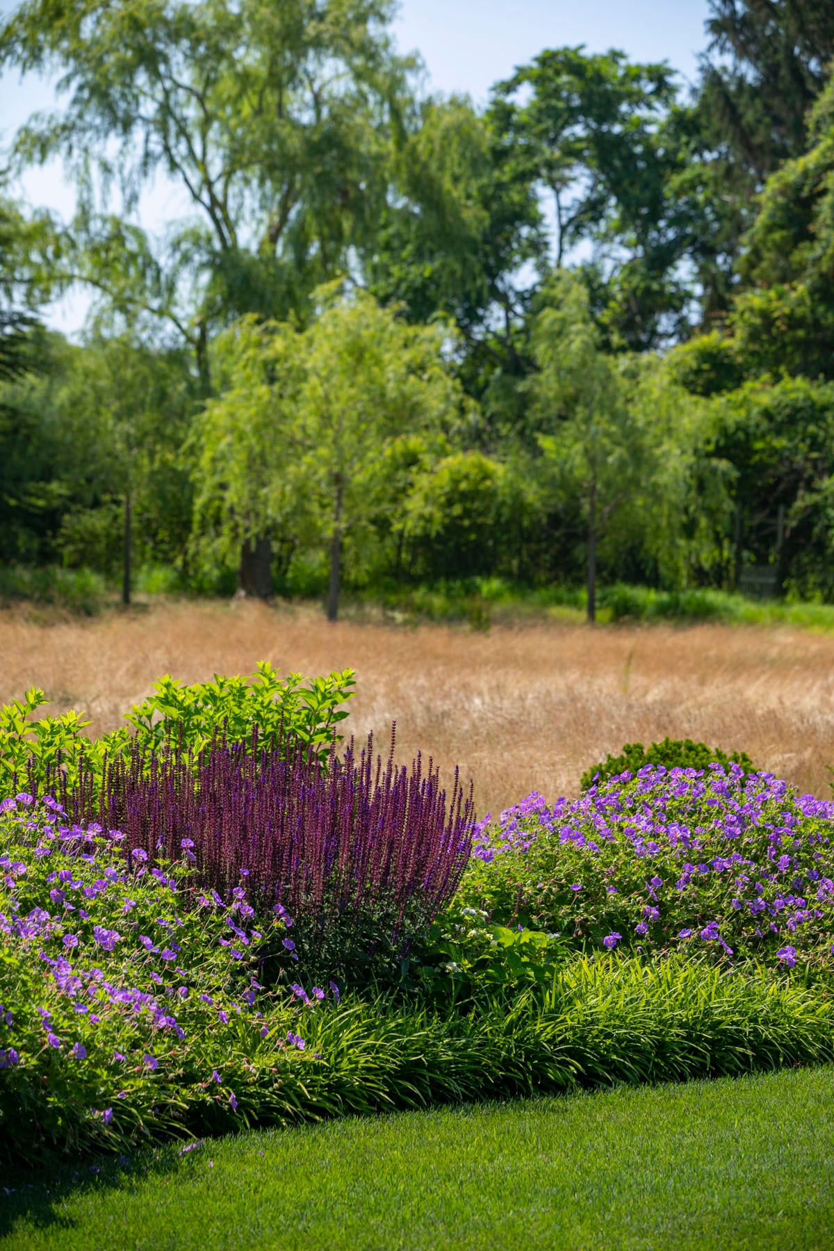 Hamptons landscape portfolio — LDG_2021_Schwartz_house_025, Hamptons landscape by Peconic Lawn & Tree Care