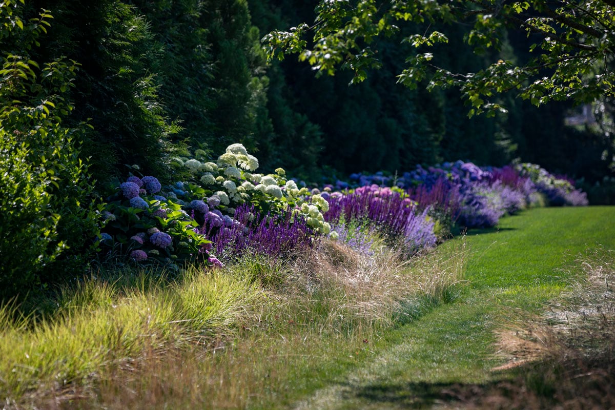 Hamptons landscape portfolio — LDG_2021_Schwartz_house_035, Hamptons landscape by Peconic Lawn & Tree Care