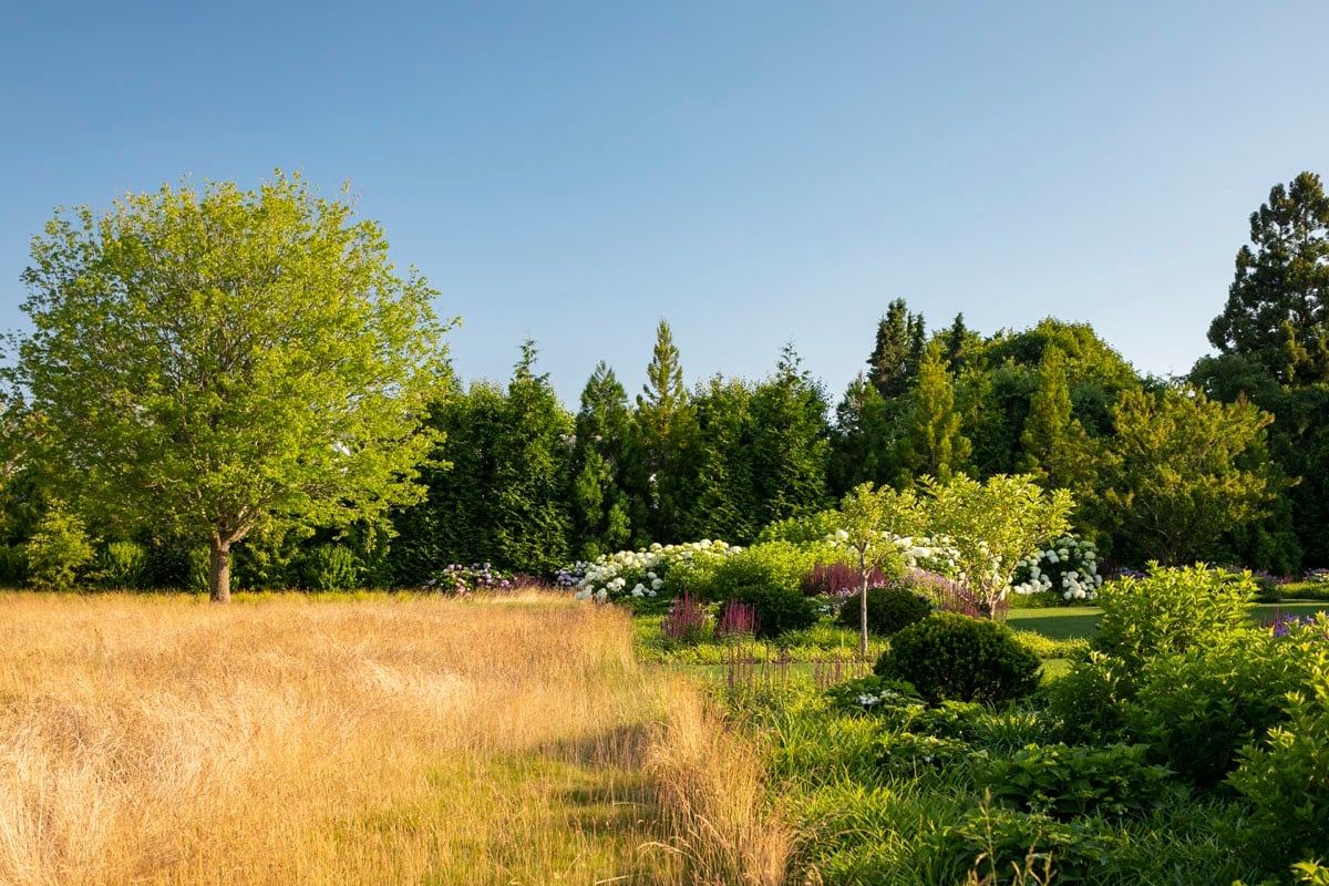 Hamptons landscape portfolio — LDG_2021_Schwartz_house_036, Hamptons landscape by Peconic Lawn & Tree Care
