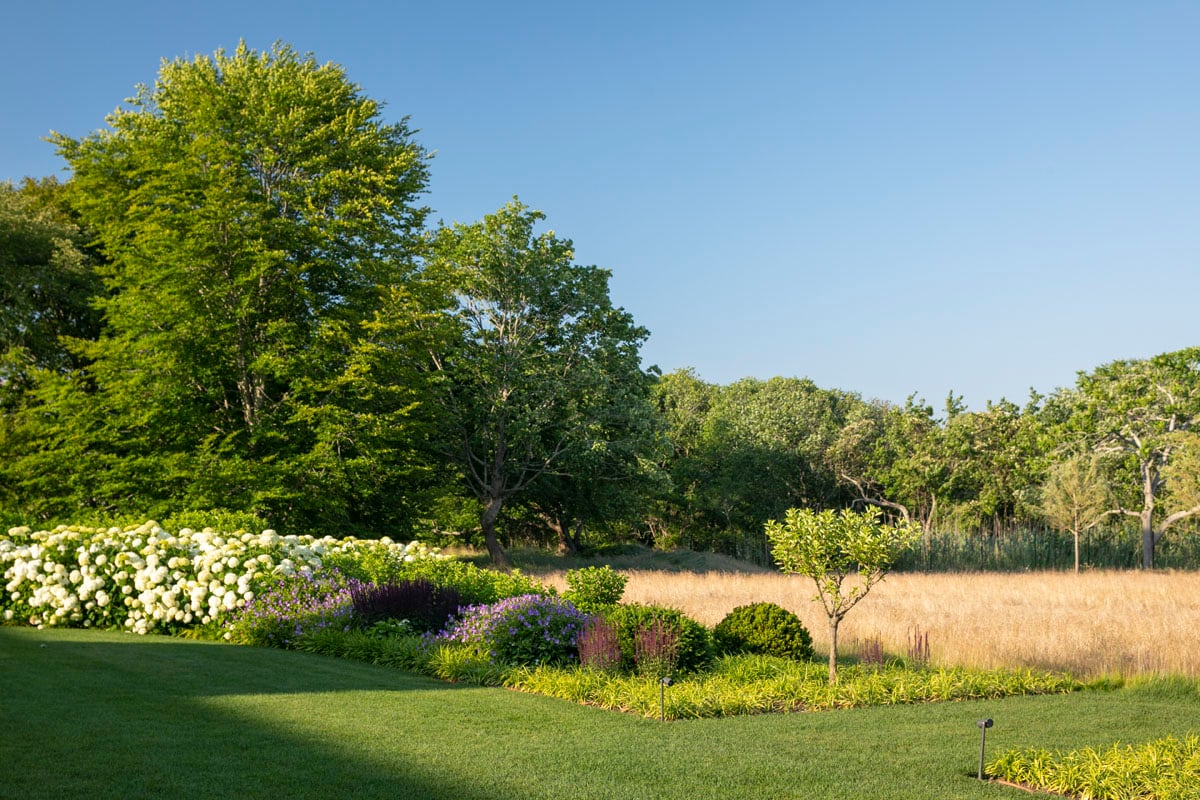 Hamptons landscape portfolio — LDG_2021_Schwartz_house_038, Hamptons landscape by Peconic Lawn & Tree Care