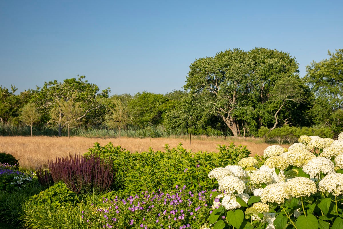 Hamptons landscape portfolio — LDG_2021_Schwartz_house_039, Hamptons landscape by Peconic Lawn & Tree Care