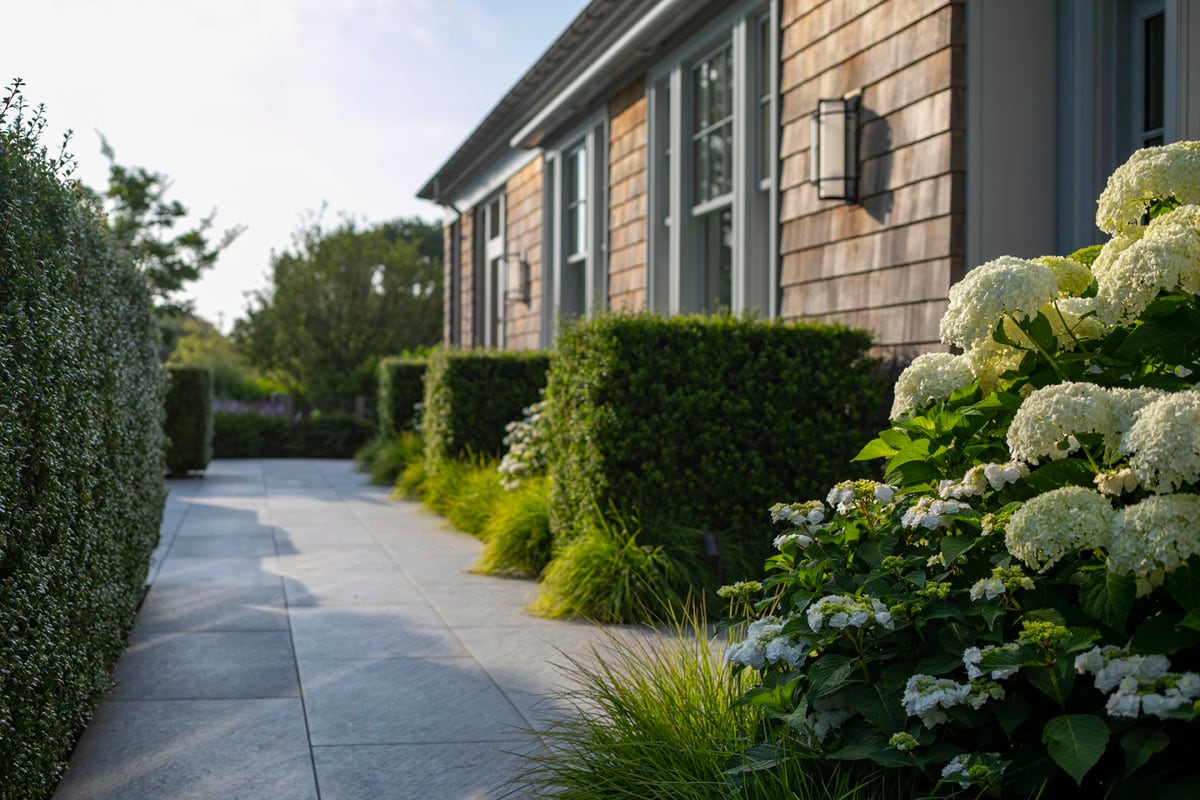 Hamptons landscape portfolio — LDG_2021_Schwartz_house_041, Hamptons landscape by Peconic Lawn & Tree Care