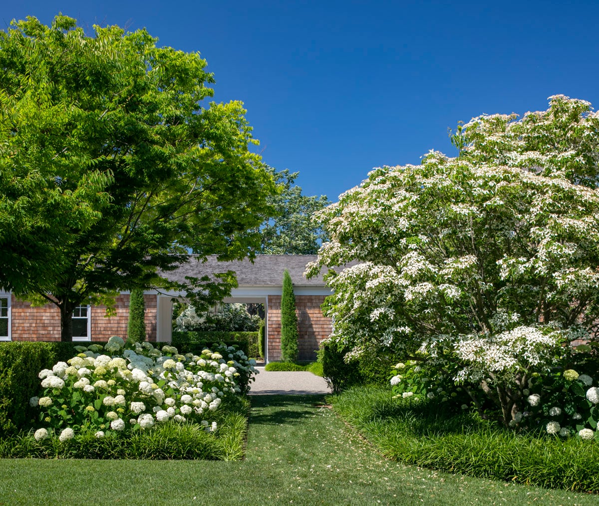 Hamptons landscape portfolio — LDG_2021_Schwartz_house_042, Hamptons landscape by Peconic Lawn & Tree Care