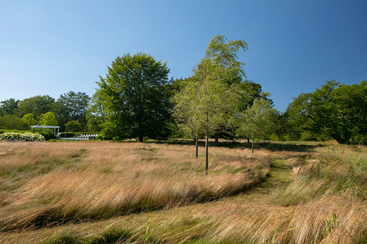 Hamptons landscape portfolio — LDG_2021_Schwartz_meadow_064, Hamptons landscape by Peconic Lawn & Tree Care