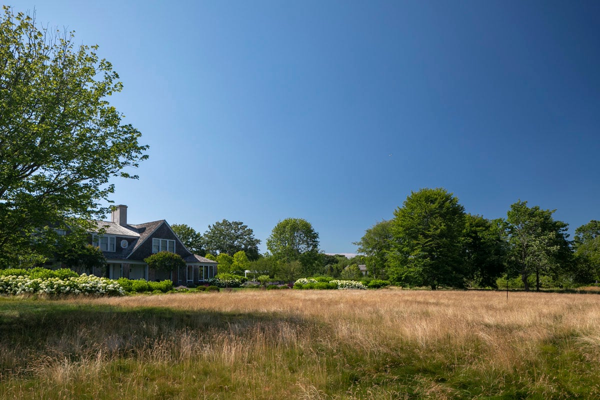 Hamptons landscape portfolio — LDG_2021_Schwartz_meadow_067, Hamptons landscape by Peconic Lawn & Tree Care