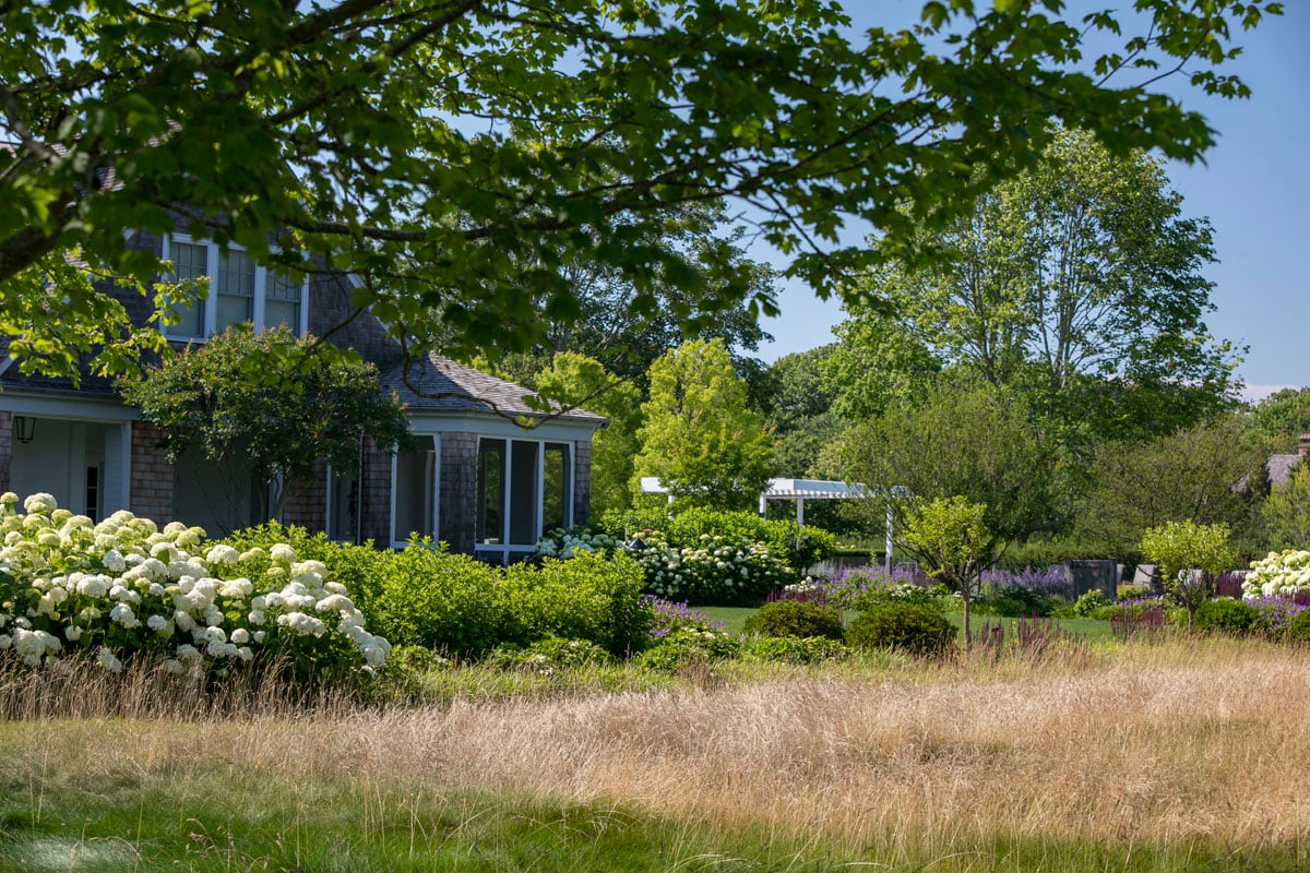 Hamptons landscape portfolio — LDG_2021_Schwartz_meadow_068, Hamptons landscape by Peconic Lawn & Tree Care