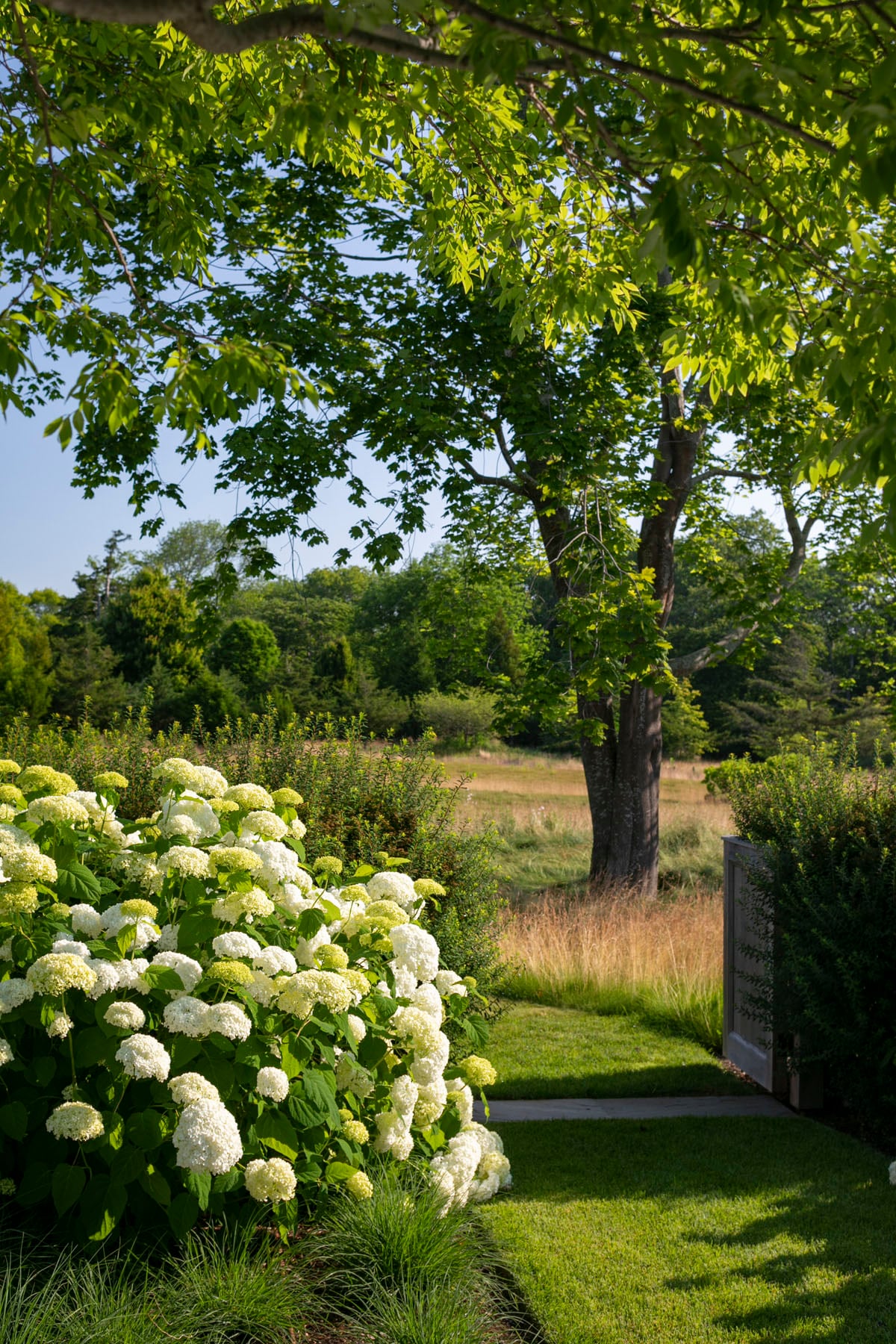 Hamptons landscape portfolio — LDG_2021_Schwartz_poolarea_001, Hamptons landscape by Peconic Lawn & Tree Care