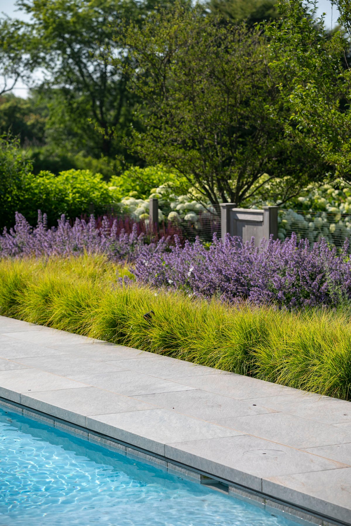 Hamptons landscape portfolio — LDG_2021_Schwartz_poolarea_023, Hamptons landscape by Peconic Lawn & Tree Care