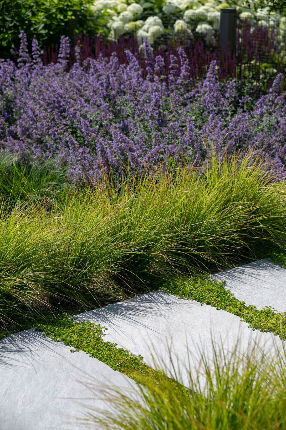 Hamptons landscape portfolio — LDG_2021_Schwartz_poolarea_036, Hamptons landscape by Peconic Lawn & Tree Care