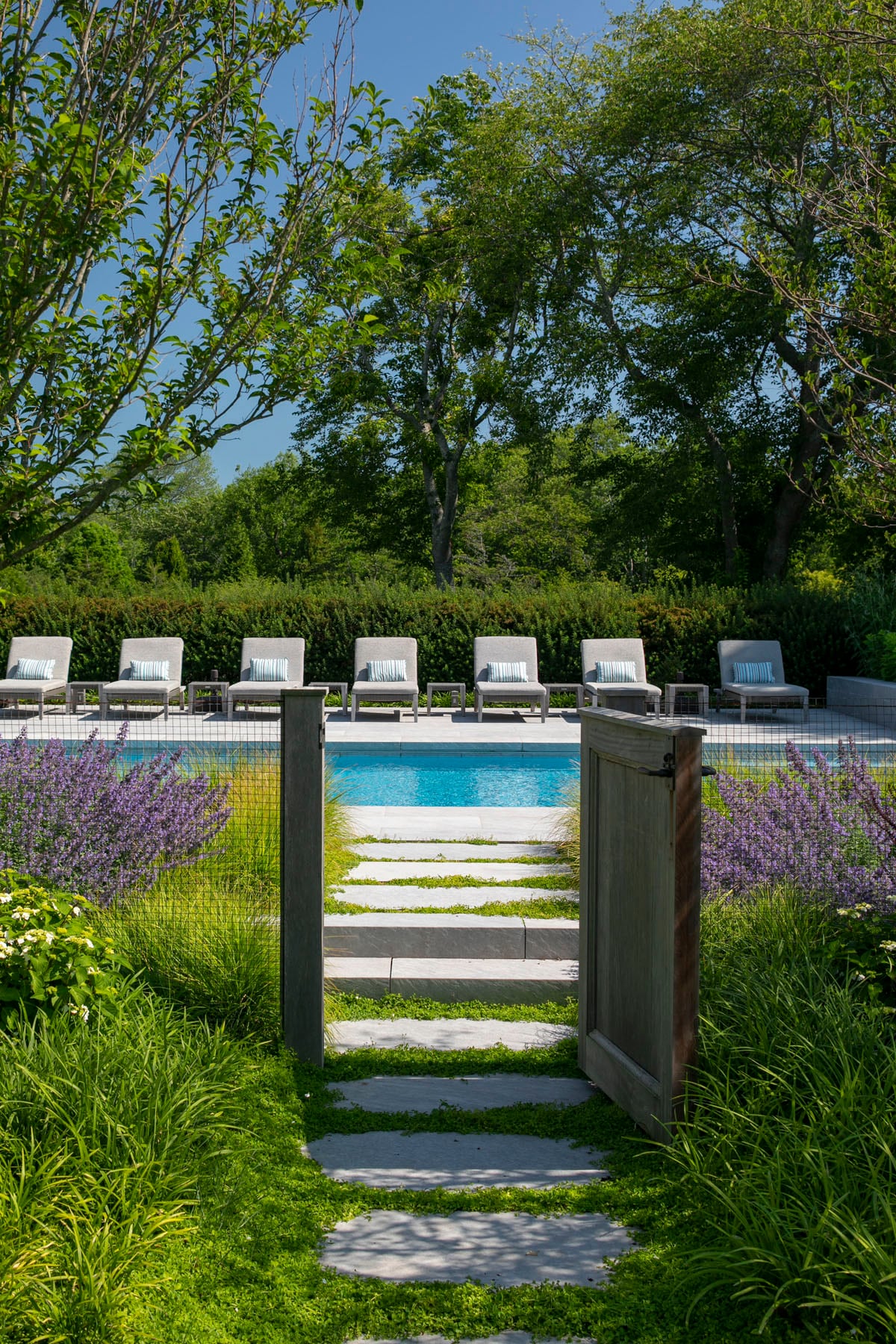 Hamptons landscape portfolio — LDG_2021_Schwartz_poolarea_038, Hamptons landscape by Peconic Lawn & Tree Care