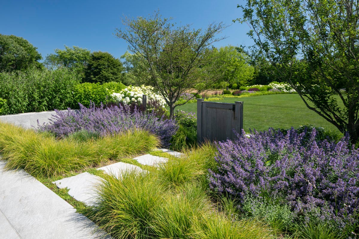Hamptons landscape portfolio — LDG_2021_Schwartz_poolarea_060, Hamptons landscape by Peconic Lawn & Tree Care