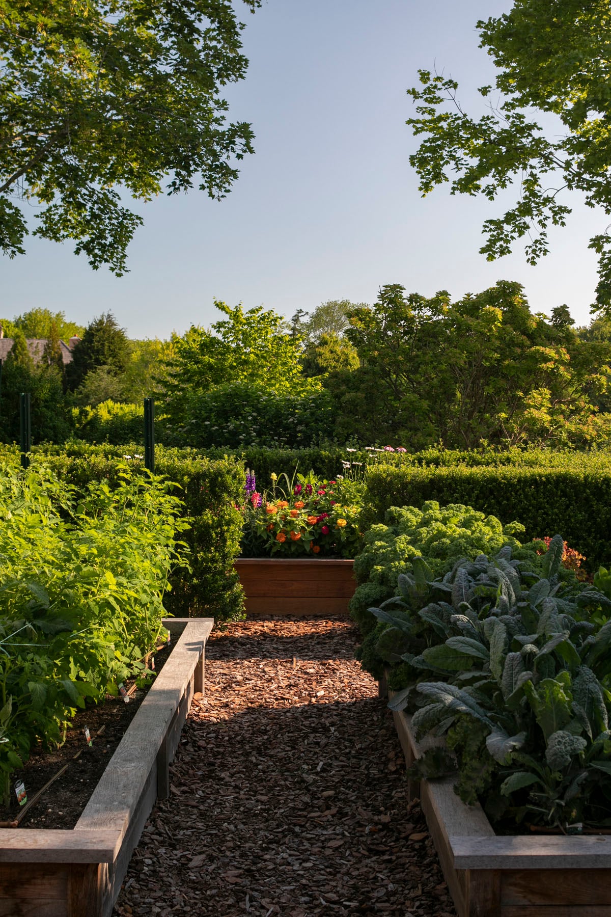 Hamptons landscape portfolio — LDG_2021_Schwartz_poolarea_063, Hamptons landscape by Peconic Lawn & Tree Care