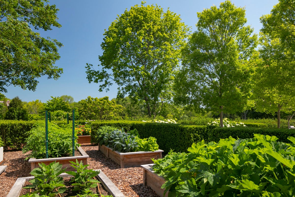 Hamptons landscape portfolio — LDG_2021_Schwartz_poolarea_064, Hamptons landscape by Peconic Lawn & Tree Care