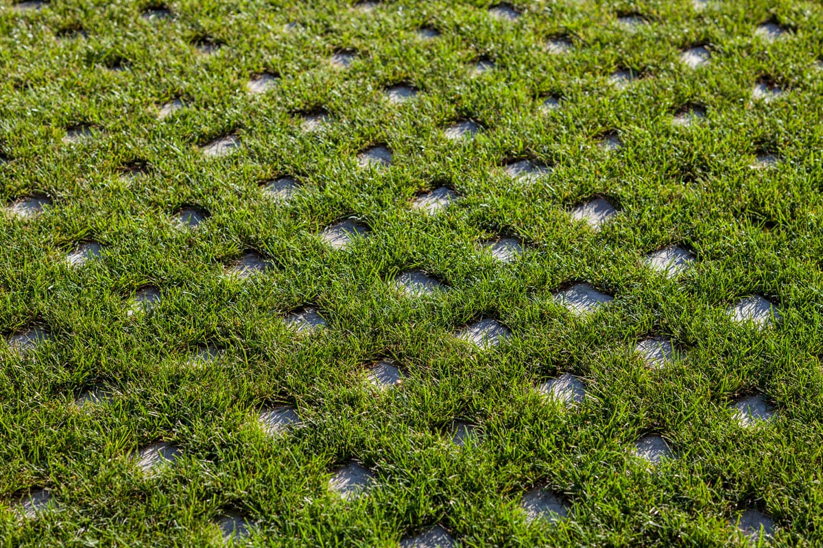 Sustainable luxury meadow landscape