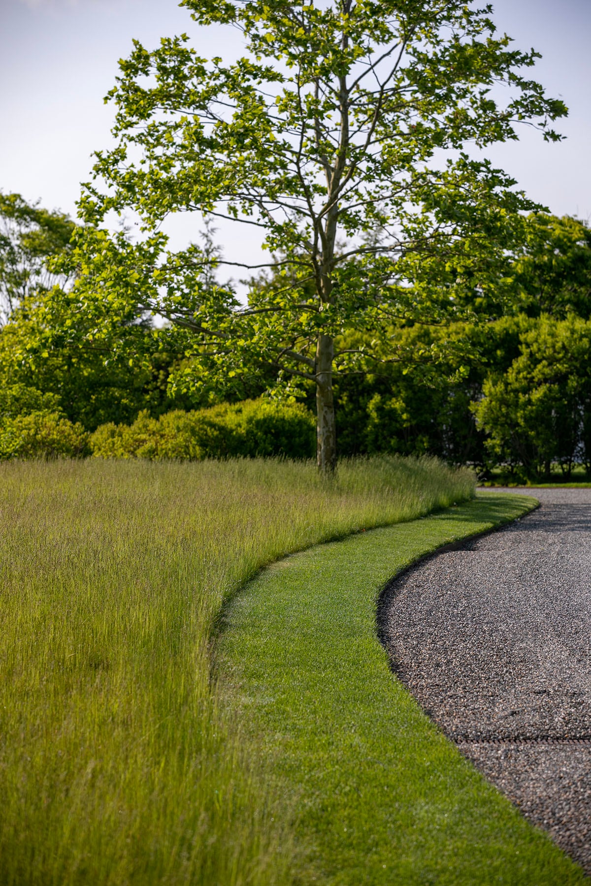 Hamptons landscape portfolio — PeconicLawnCare_2023_0530_001, Hamptons landscape by Peconic Lawn & Tree Care