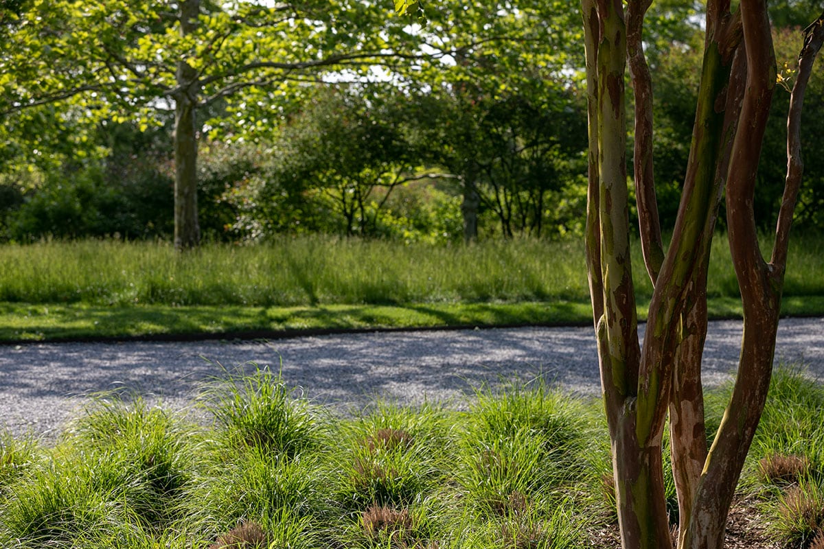 Hamptons landscape portfolio — PeconicLawnCare_2023_0530_021, Hamptons landscape by Peconic Lawn & Tree Care