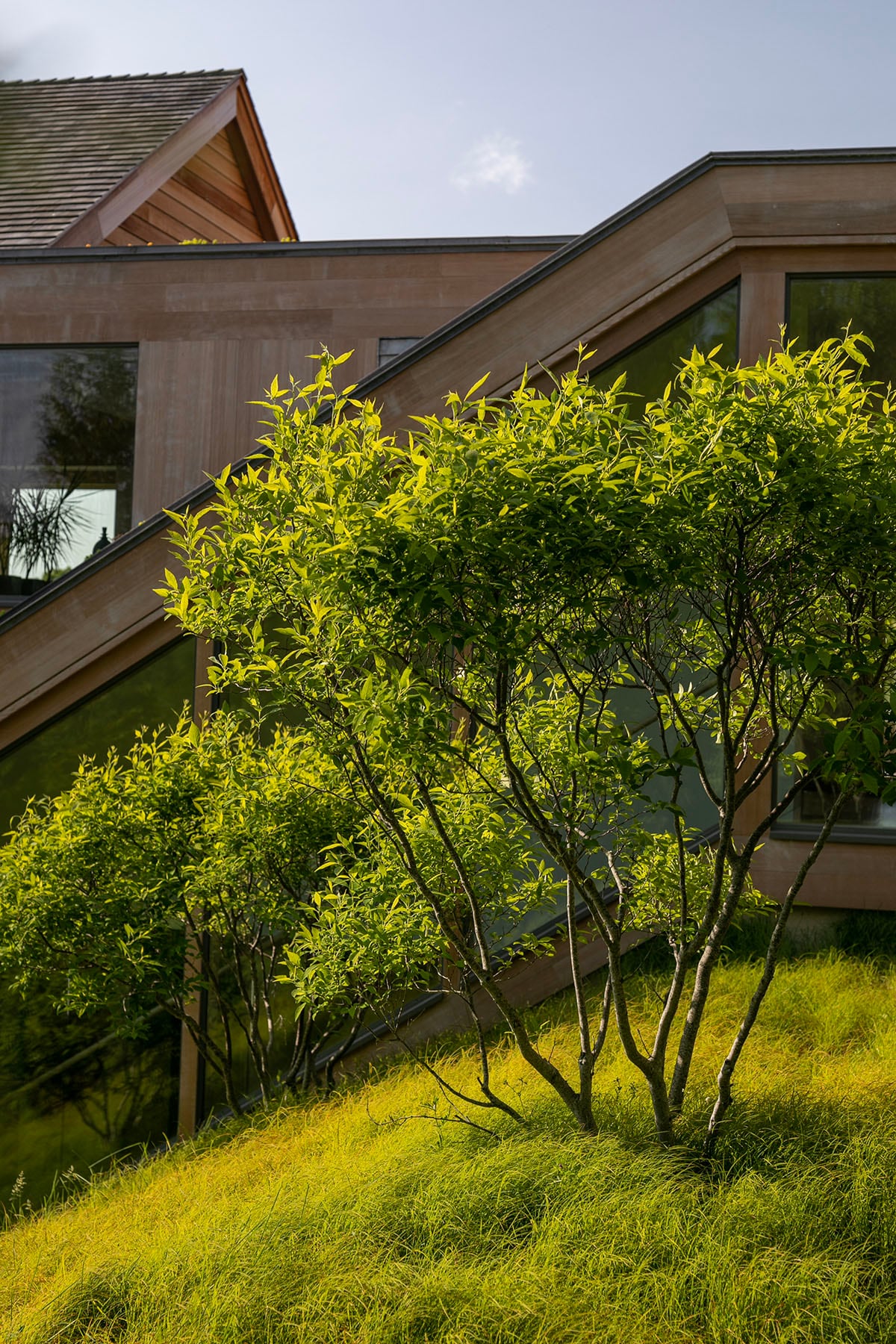 Hamptons landscape portfolio — PeconicLawnCare_2023_0530_032, Hamptons landscape by Peconic Lawn & Tree Care