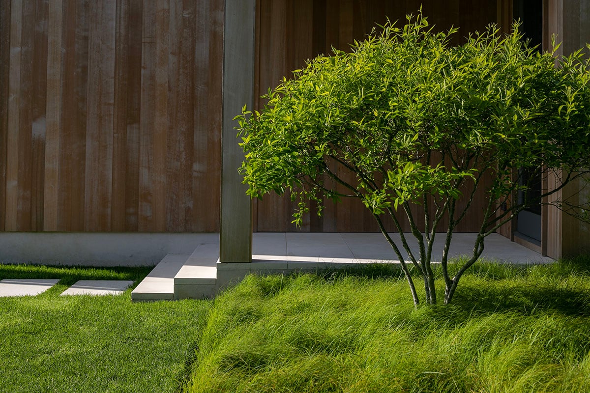 Hamptons landscape portfolio — PeconicLawnCare_2023_0530_035, Hamptons landscape by Peconic Lawn & Tree Care