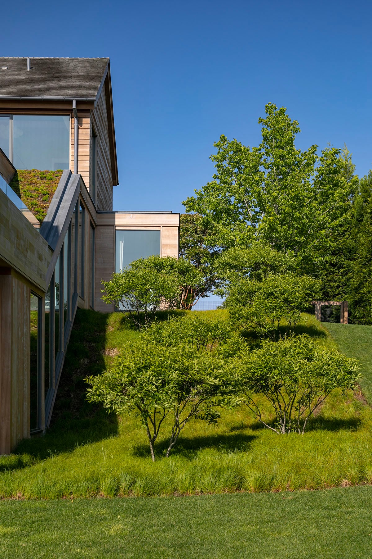 Hamptons landscape portfolio — PeconicLawnCare_2023_0530_038, Hamptons landscape by Peconic Lawn & Tree Care