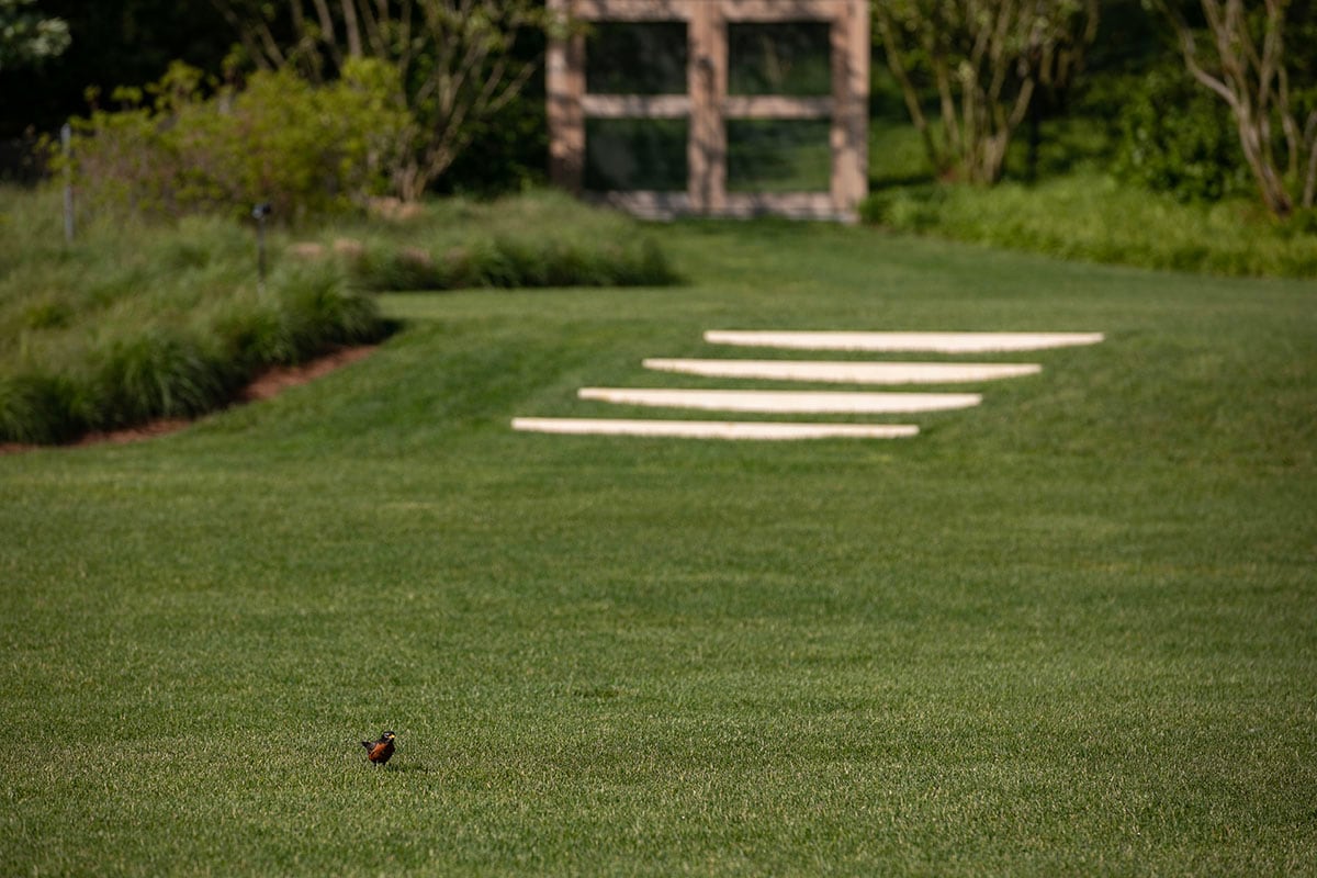 Hamptons landscape portfolio — PeconicLawnCare_2023_0530_049, Hamptons landscape by Peconic Lawn & Tree Care