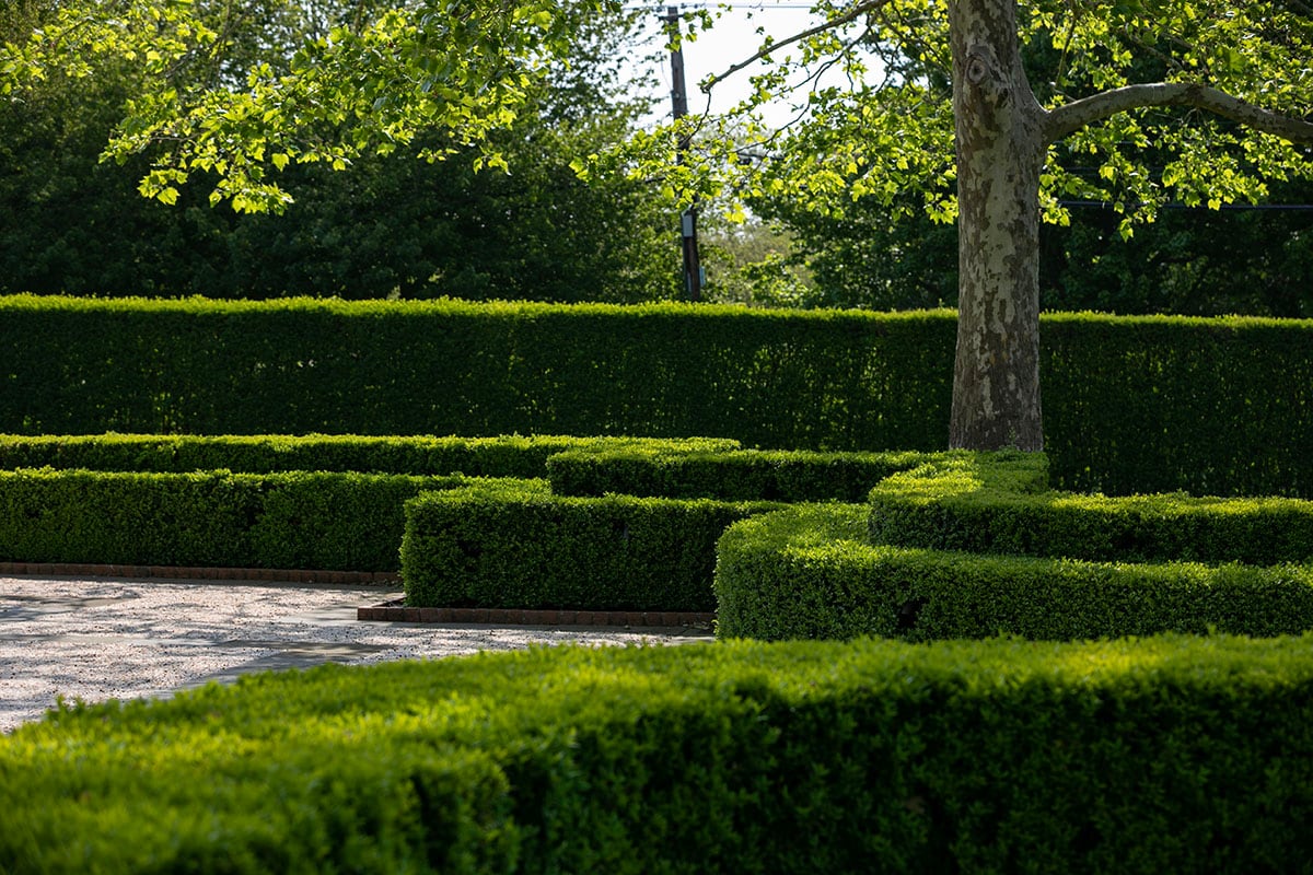 Hamptons landscape portfolio — PeconicLawnCare_2023_0530_067, Hamptons landscape by Peconic Lawn & Tree Care