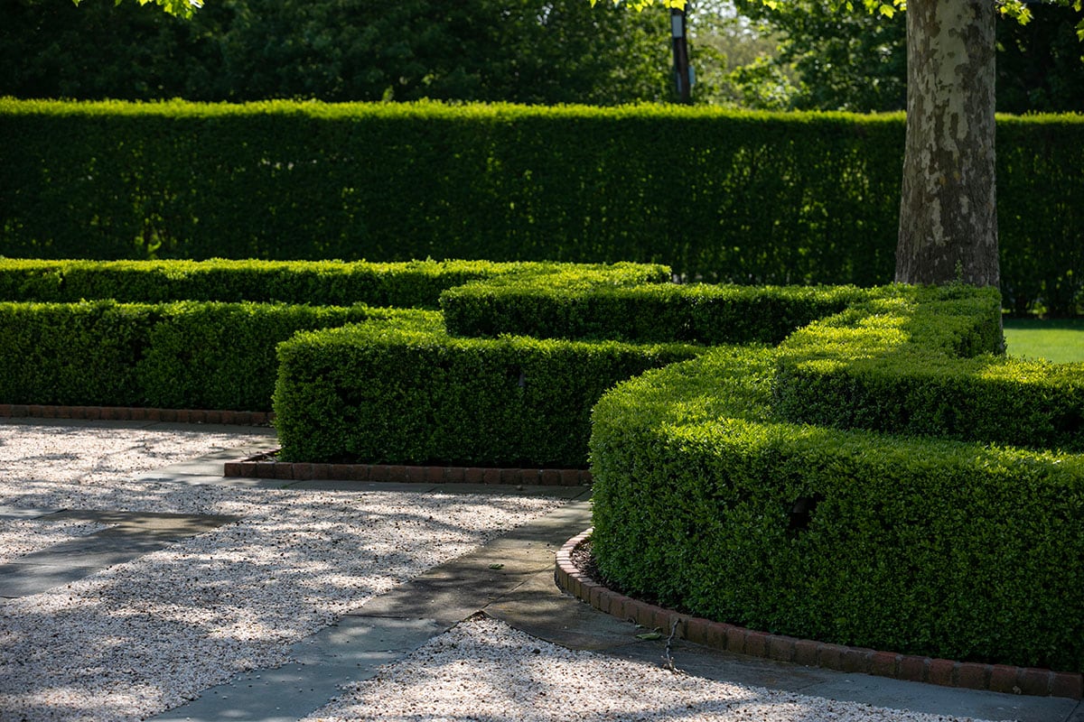 Hamptons landscape portfolio — PeconicLawnCare_2023_0530_068, Hamptons landscape by Peconic Lawn & Tree Care