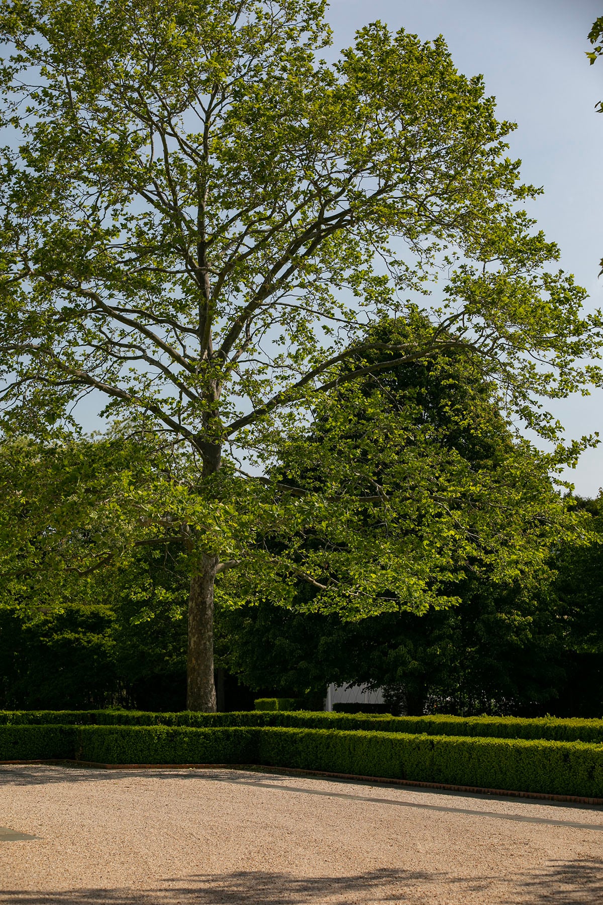 Hamptons landscape portfolio — PeconicLawnCare_2023_0530_069, Hamptons landscape by Peconic Lawn & Tree Care