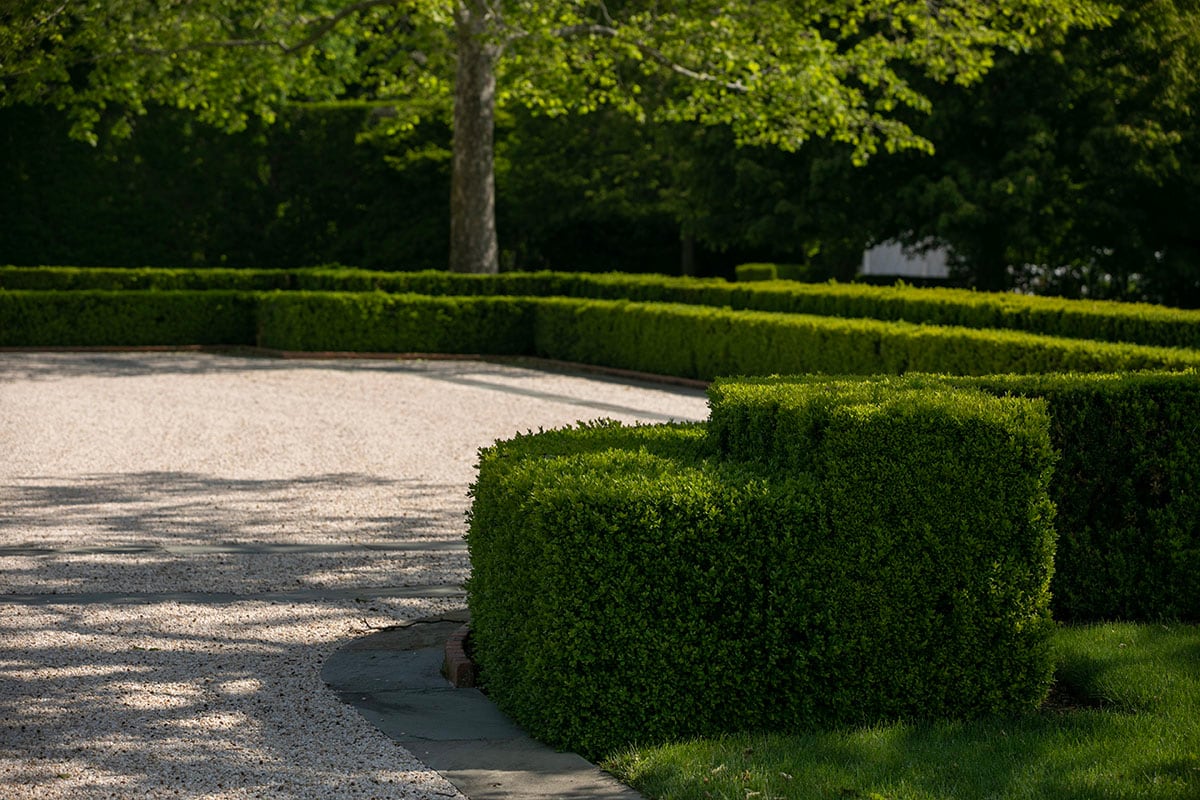 Hamptons landscape portfolio — PeconicLawnCare_2023_0530_070, Hamptons landscape by Peconic Lawn & Tree Care