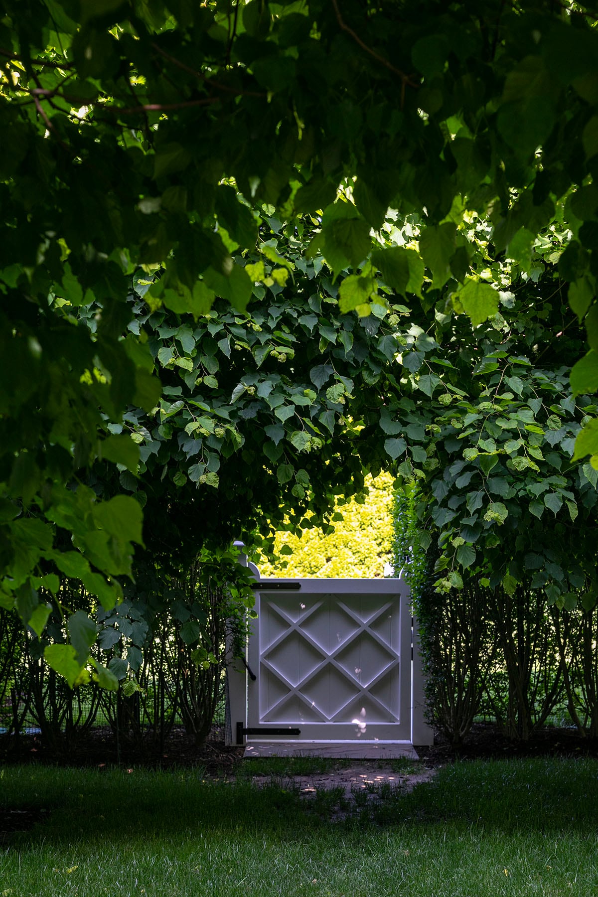 Hamptons landscape portfolio — PeconicLawnCare_2023_0530_076, Hamptons landscape by Peconic Lawn & Tree Care