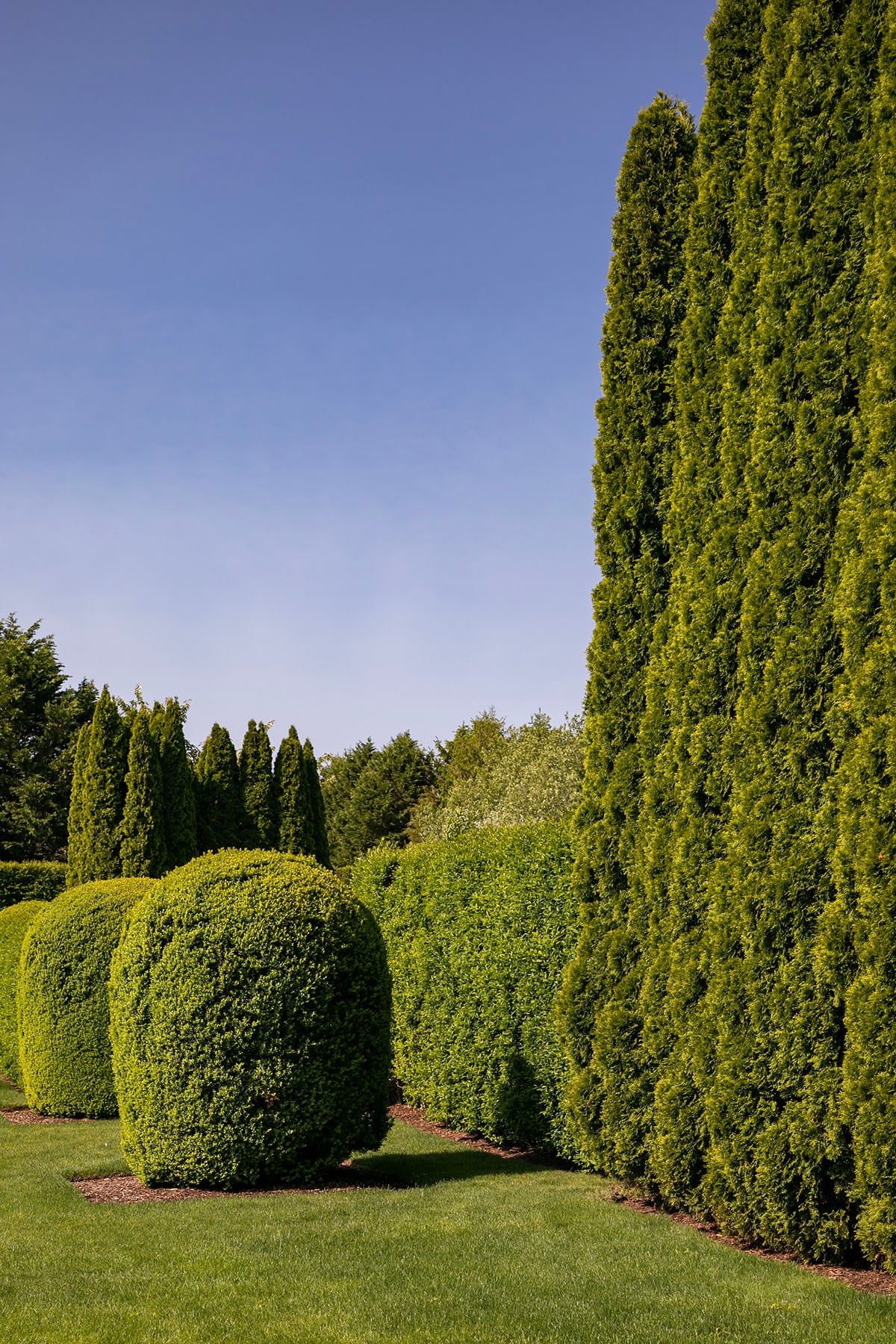 Hamptons landscape portfolio — PeconicLawnCare_2023_0530_082, Hamptons landscape by Peconic Lawn & Tree Care