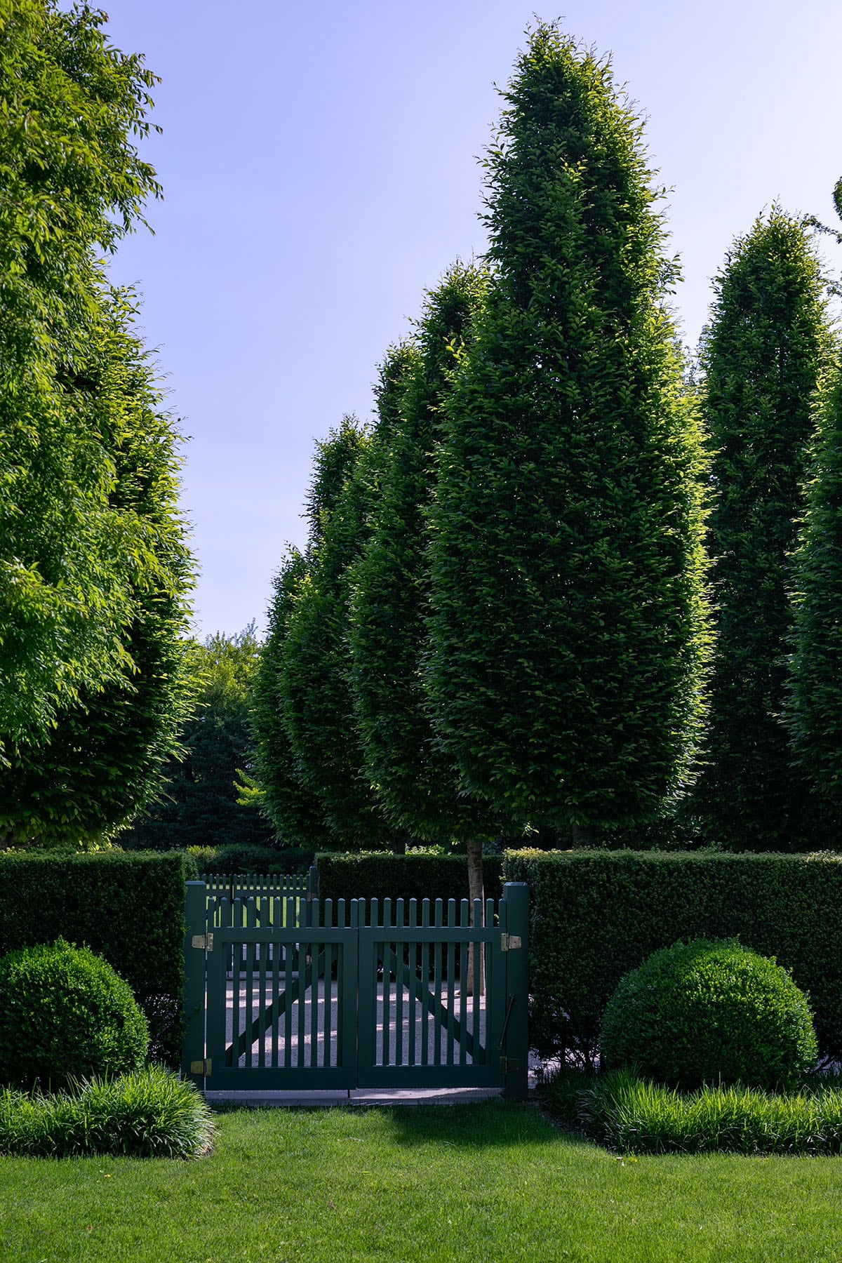 Hamptons landscape portfolio — PeconicLawnCare_2023_0530_090, Hamptons landscape by Peconic Lawn & Tree Care