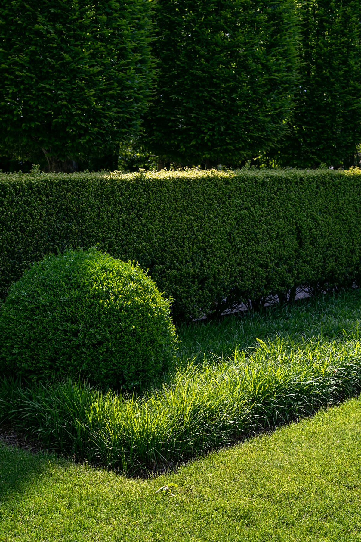 Hamptons landscape portfolio — PeconicLawnCare_2023_0530_091, Hamptons landscape by Peconic Lawn & Tree Care