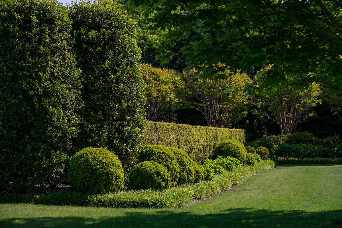 Hamptons landscape portfolio — PeconicLawnCare_2023_0530_096, Hamptons landscape by Peconic Lawn & Tree Care