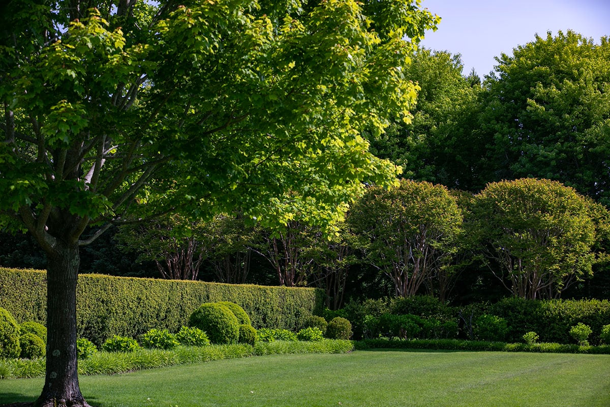 Hamptons landscape portfolio — PeconicLawnCare_2023_0530_097, Hamptons landscape by Peconic Lawn & Tree Care