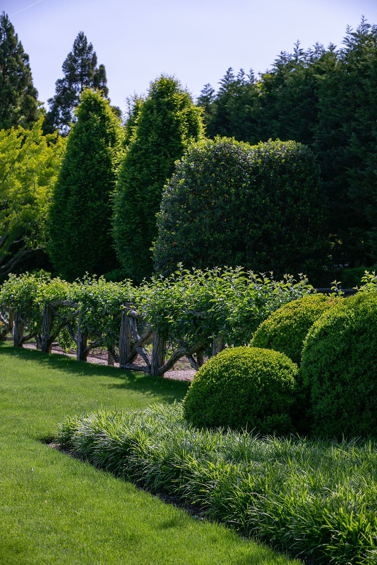 Hamptons landscape portfolio — PeconicLawnCare_2023_0530_098, Hamptons landscape by Peconic Lawn & Tree Care