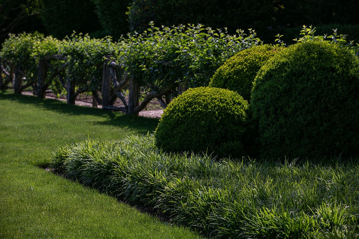 Hamptons landscape portfolio — PeconicLawnCare_2023_0530_099, Hamptons landscape by Peconic Lawn & Tree Care