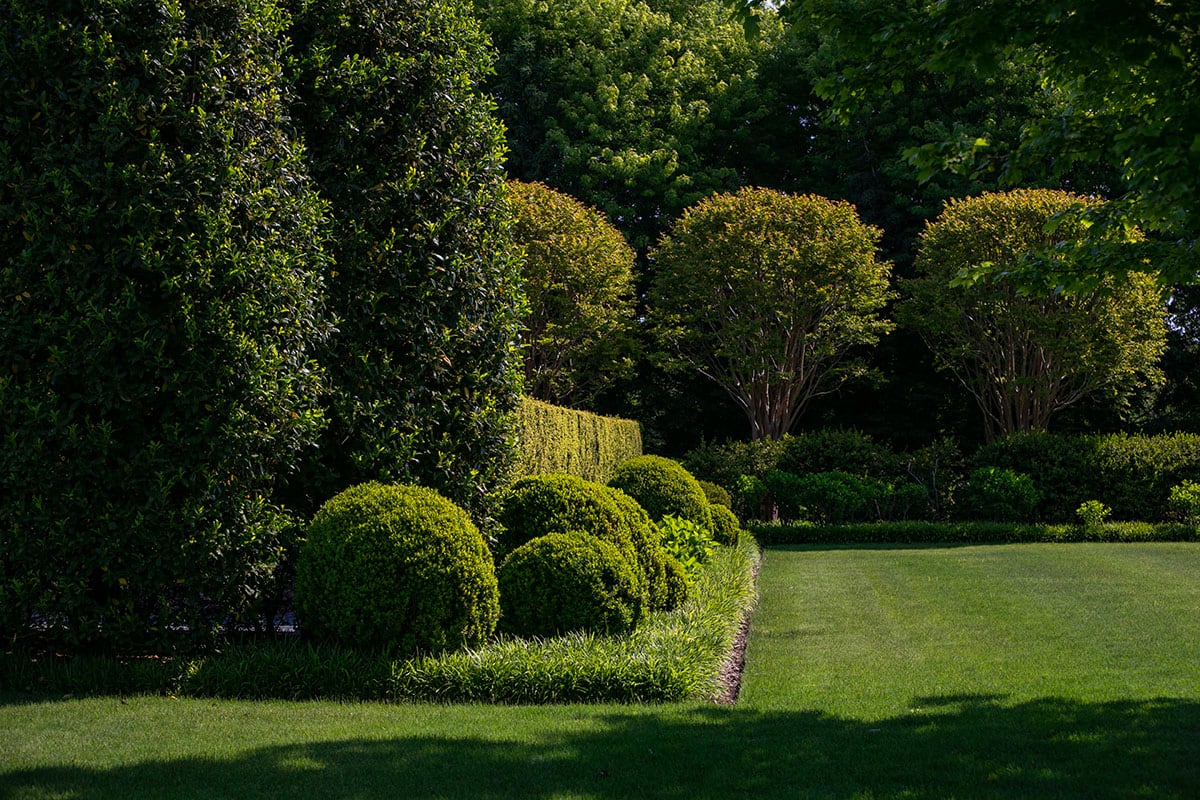 Hamptons landscape portfolio — PeconicLawnCare_2023_0530_100, Hamptons landscape by Peconic Lawn & Tree Care