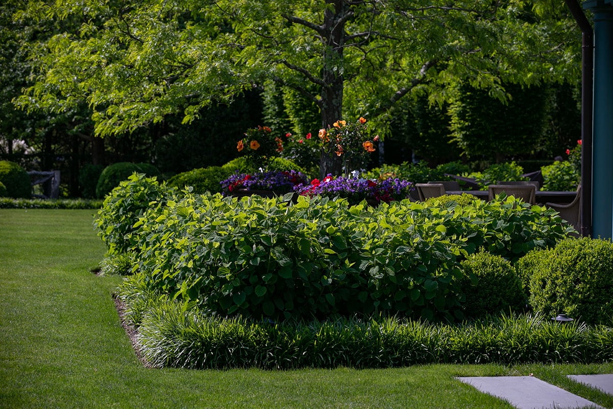 Hamptons landscape portfolio — PeconicLawnCare_2023_0530_103, Hamptons landscape by Peconic Lawn & Tree Care