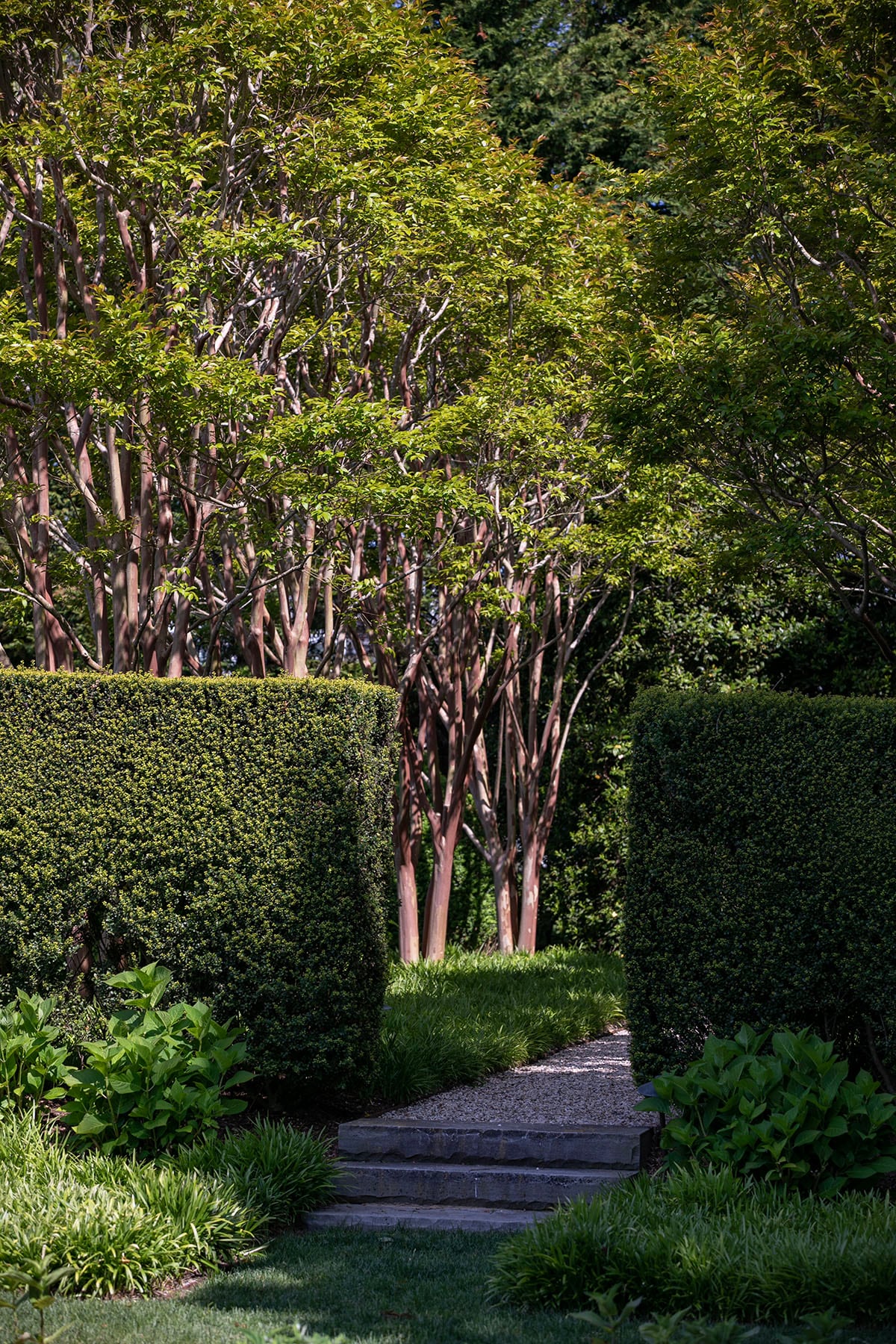 Hamptons landscape portfolio — PeconicLawnCare_2023_0530_117, Hamptons landscape by Peconic Lawn & Tree Care